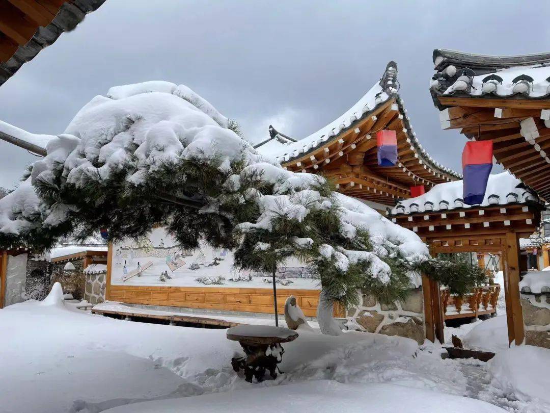 鞍山十大冰雪嘉年华体验活动如约而至,这个冬天让你玩个够~_时间_地点