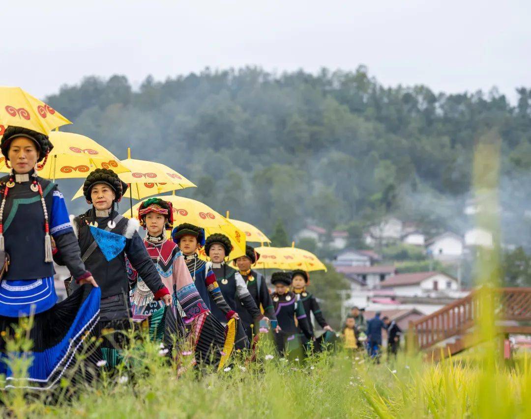 彝族的"时尚大片"来袭!难忘的越西"尝新米节"