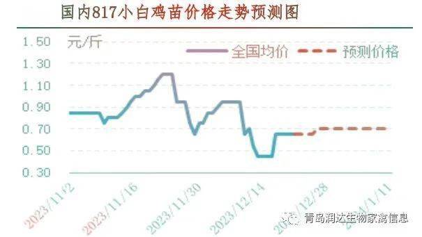 肉雞市場行情:凍品價格繼續探底 進入停苗期(20231215