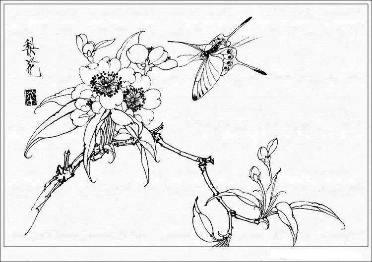 素材| 一组王道中白描花卉草虫画谱35图