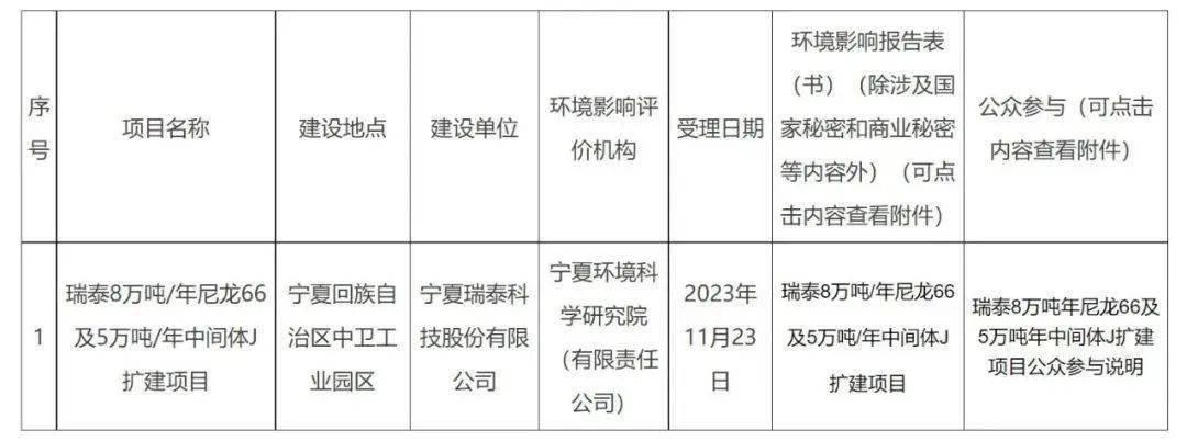 中衛市寧夏中衛工業園區建設單位:寧夏瑞泰科技股份有限公司建設規模