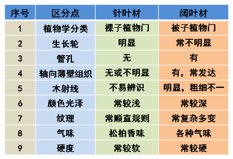 下面我们从木材的构造,针叶材与阔叶材的区别来进行逐步讲解.