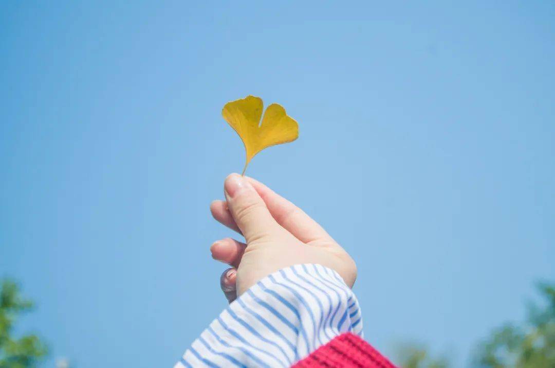 按照秦朝律法,這些人都將要以偷