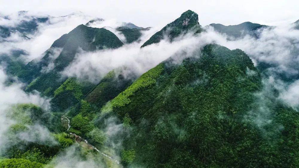 煙霞深處丨唐朝重玄哲學思想與仙居_唐玄宗_蒼山_蒼洞