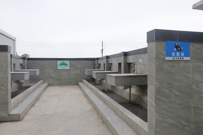 湖州"标化工地"精品项目展示 | 镇海中学南浔分校项目_防护_施工_整体