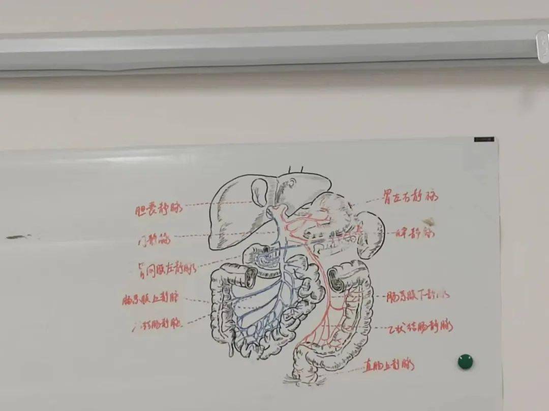 臨床實習通關寶典丨那一天,我如此直接地見到了生命