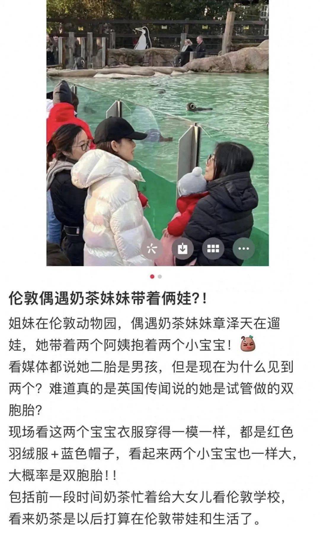 奶茶妹妹证实怀二胎图片