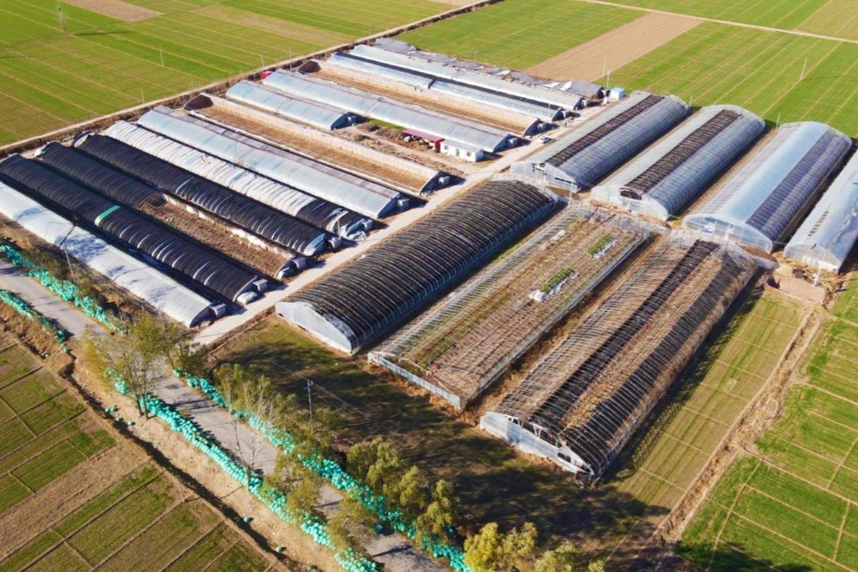 河北南皮:理论学堂送知识 乡村振兴有奔头_政策_村民_技术