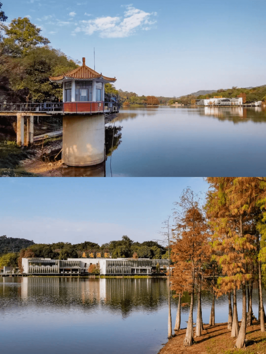 6個元旦假期好去處,愜意又出片_廣州_公園_livin