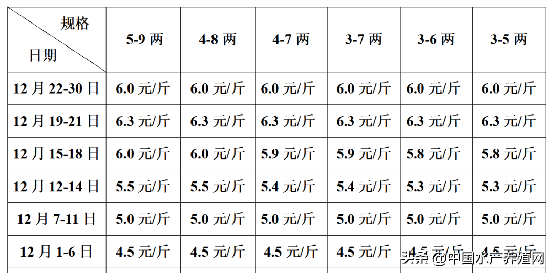 對蝦泥鰍猛漲,草魚也漲了,鱖魚鱸魚黑魚掉價,黃骨鯽魚