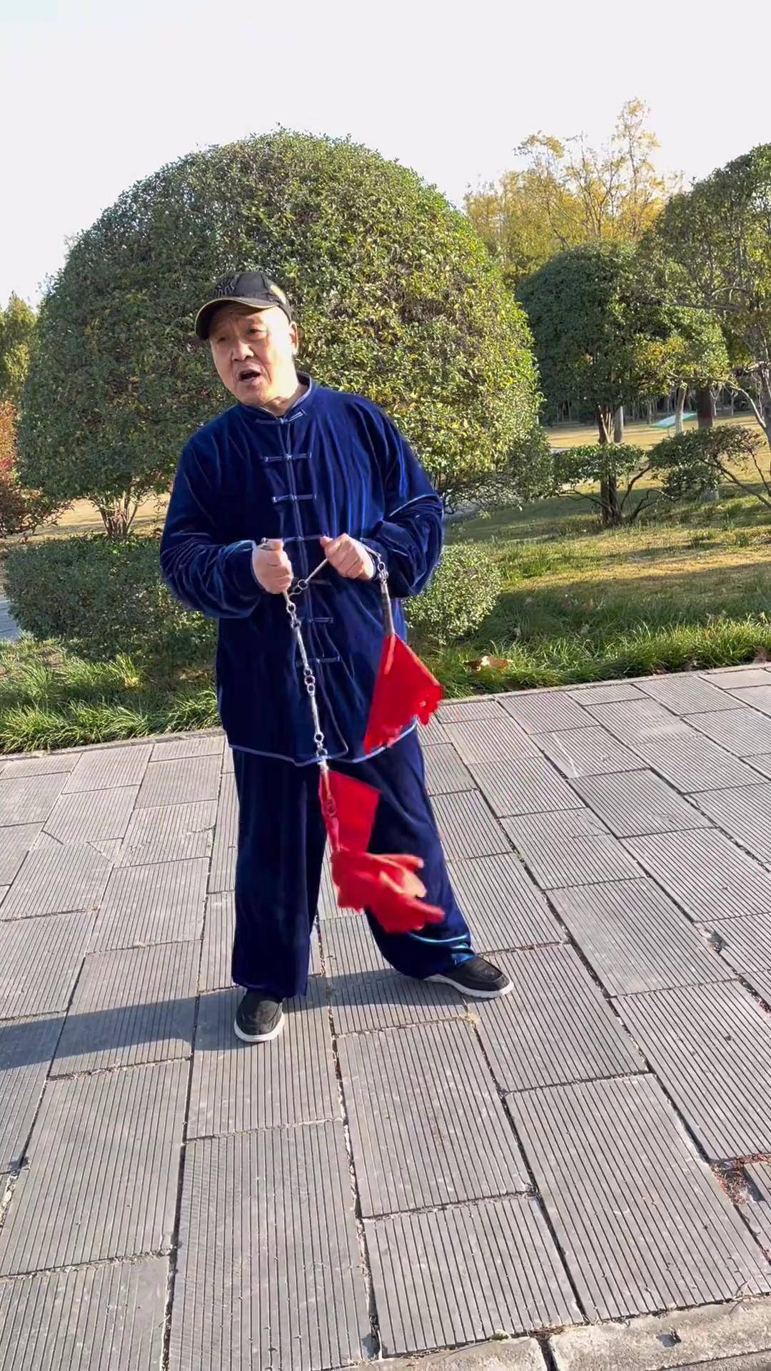 九节鞭教程慢动作分解九节鞭