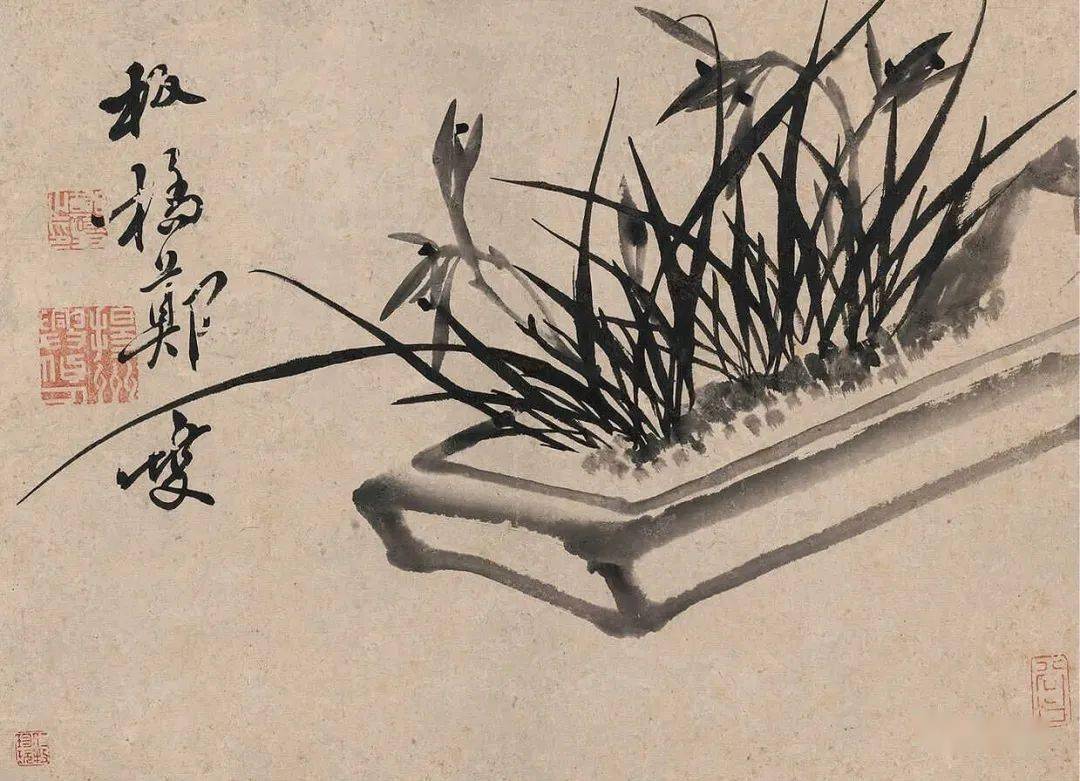 郑板桥兰花图欣赏擅书画兰竹,为扬州八怪之首,清代著名书画家.