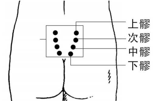 臀部六条经络图片