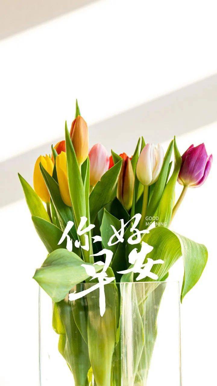 12月31日 早安!美好的一天开始了!_生活_人生_成功