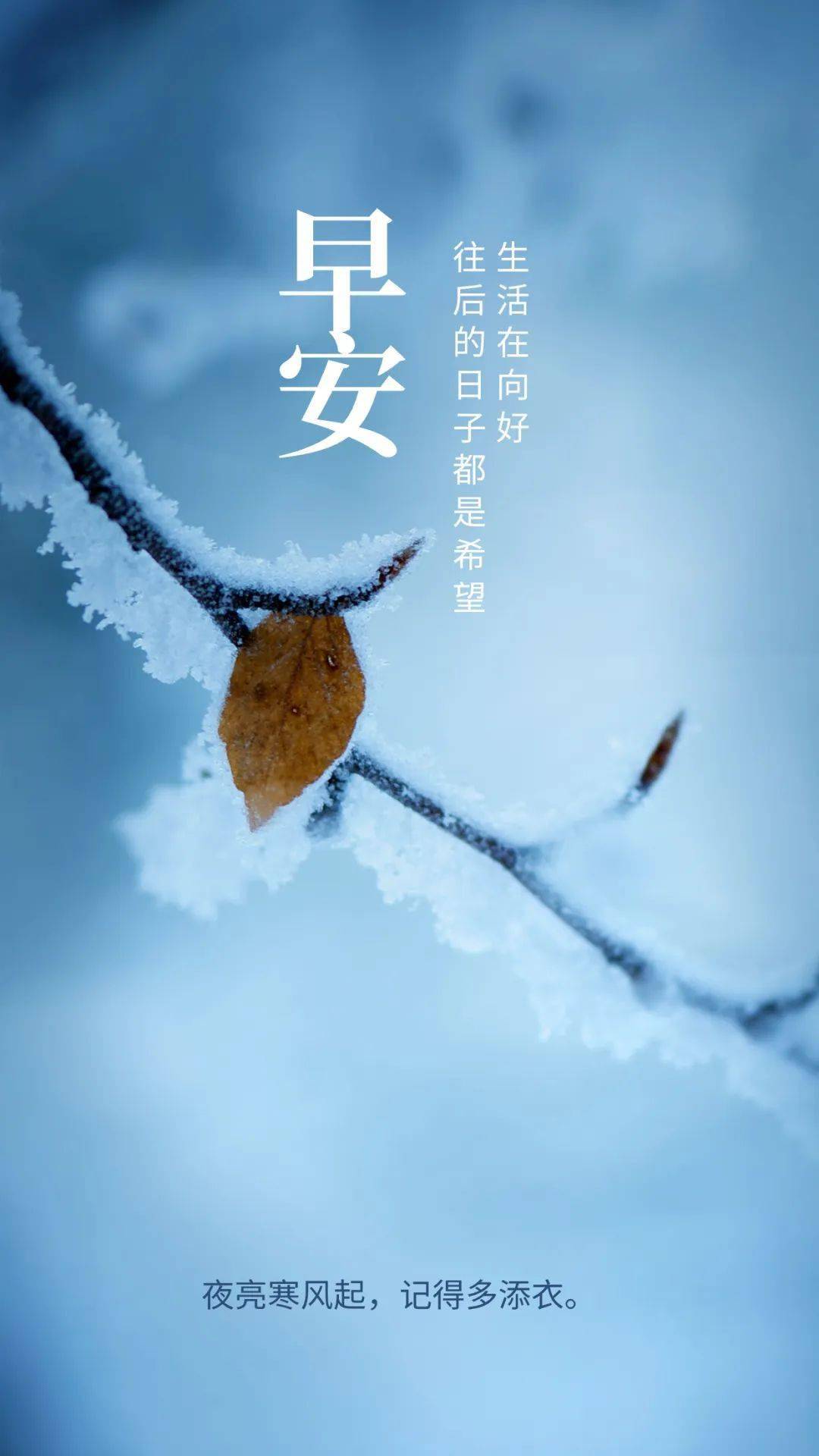 2024年1月早安心语励志说说文案