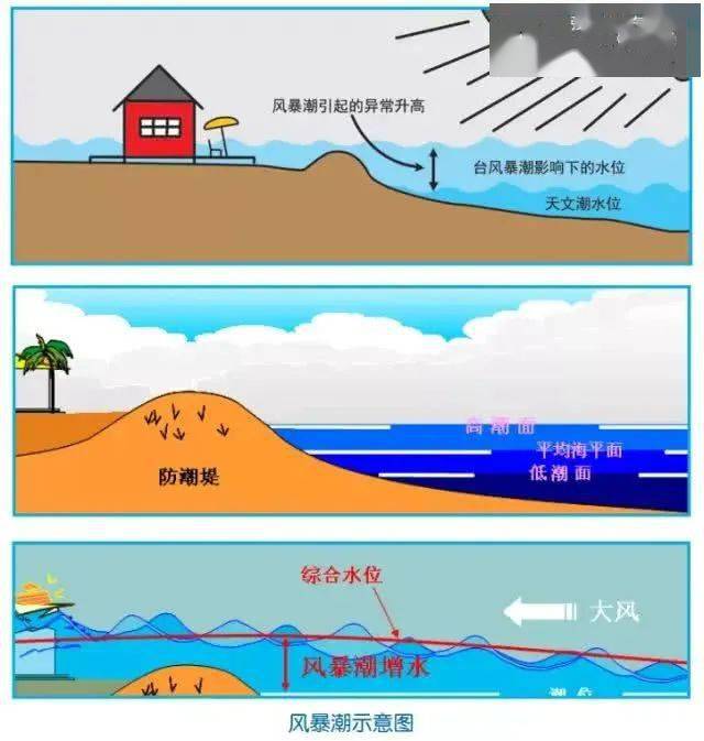 1946海啸图片