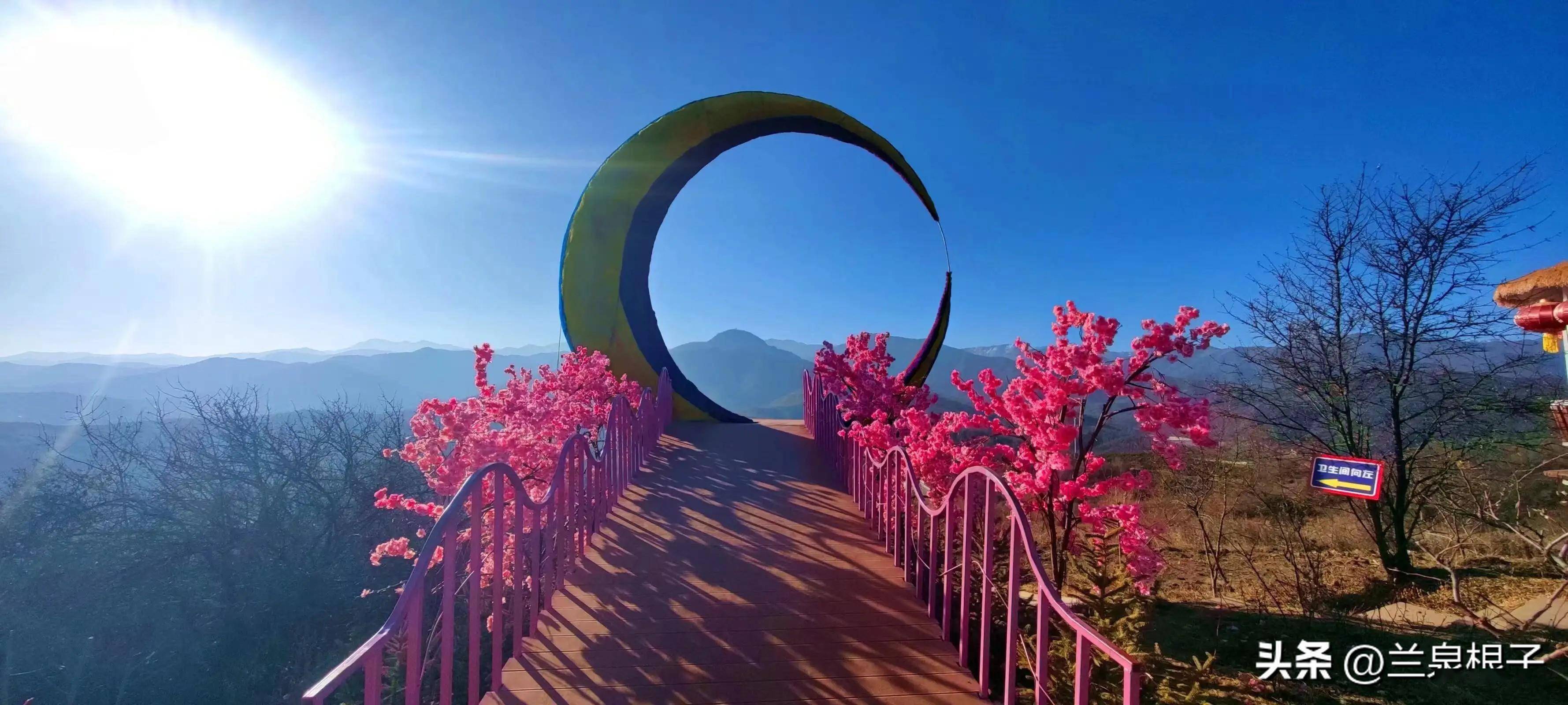 冬日的康乐白桦林景区,接纳着不少寻梦的人.