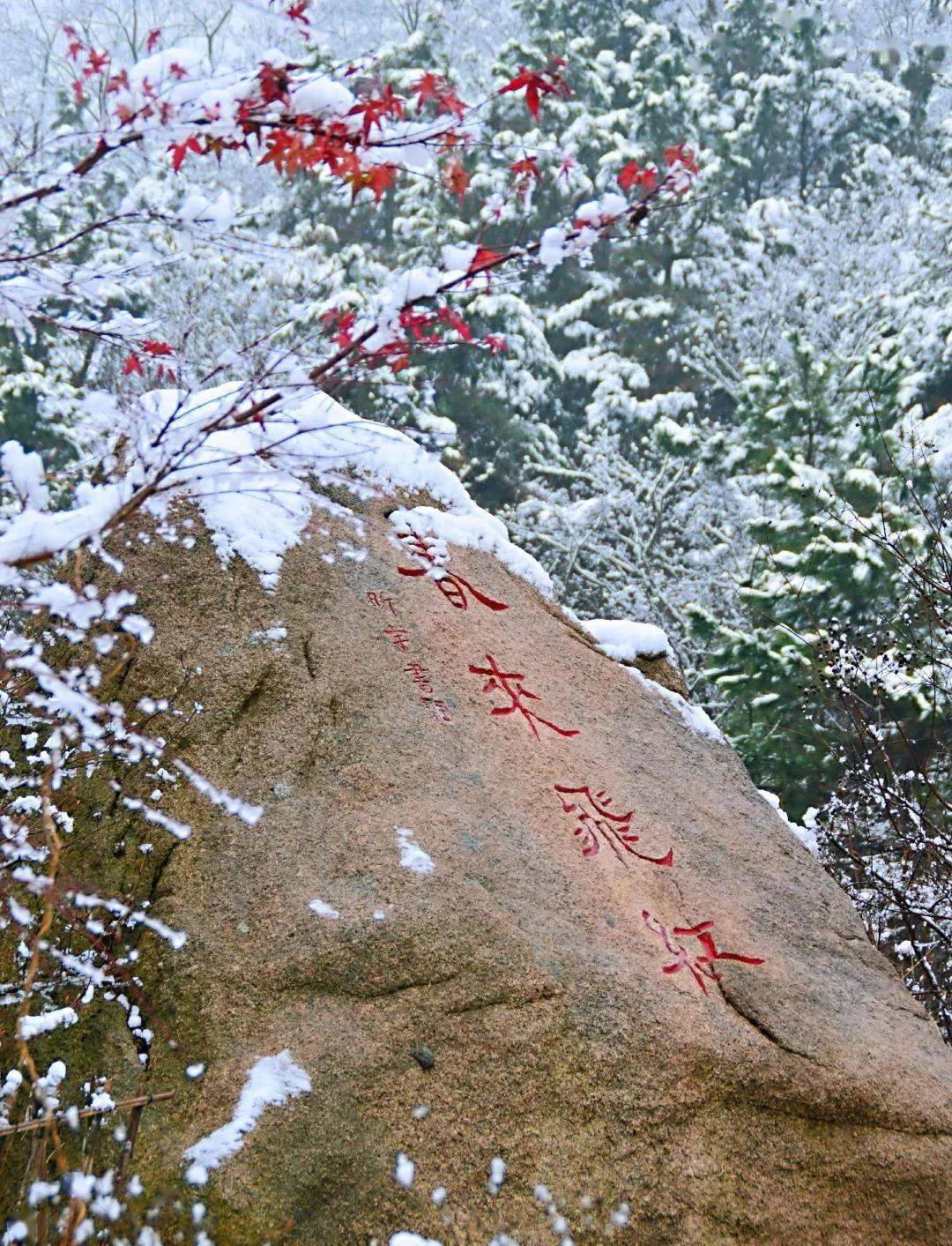 大珠山景区地址:山川路1117号电话:0532-6185131271珠山国家森林