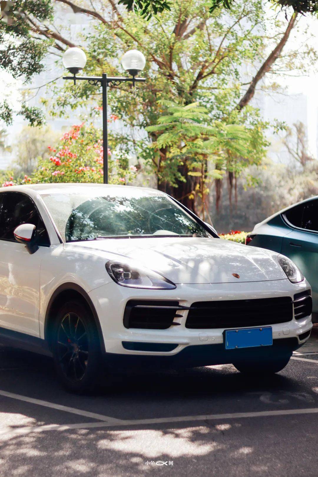 "西堤,滨北咖啡一条街,保姆车都是百万 ?_搜狐汽车_搜狐网